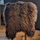 4 stk Islandsk saueskinn i Blacky Rusty farge  (110-120 cm, str.I/XXL) thumbnail