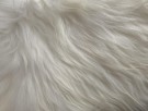 4 stk hvite langhårete skinn fra Island. Str. XXL (110-120cm) thumbnail