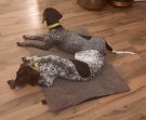 AKAH NaturVital® Luxury Dog Bed thumbnail