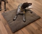 AKAH NaturVital® Luxury Dog Bed thumbnail