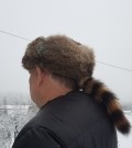 Canadisk Davy Crockett thumbnail