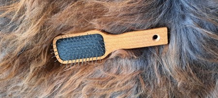 Børste for saueskinn og for langhårede dyr.