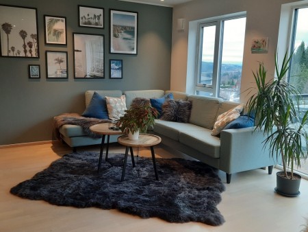 Teppe lagd av 5 korthåret Islandsk saueskinn  i farge Graphite Brisa