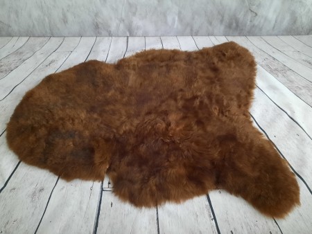 Ekte Islandske Saueskinn i Rusty DT farge -korthåret